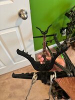 IMG_7081.jpeg