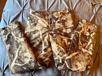 IMG_2266.jpeg
