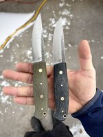 IMG_6850.jpeg