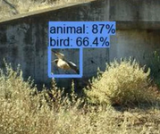 1755197706878.png