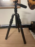 IMG_9603.jpeg