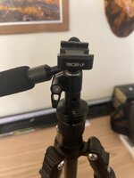 IMG_9604.jpeg
