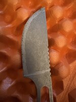 IMG_7811.jpeg