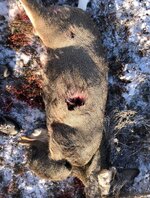 IMG_0226.jpeg