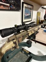 IMG_1733.jpeg