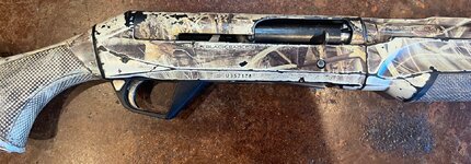 IMG_4916.jpeg