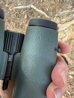 IMG_3656.jpeg