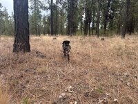 IMG_3025.jpeg