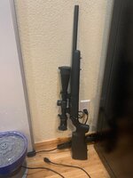 IMG_1126.jpeg