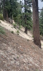 IMG_0870.jpeg