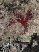 IMG_6209.jpeg