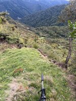 IMG_0954.jpeg