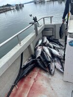 IMG_1201.jpeg