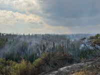 IMG_6675.jpeg