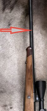 IMG_4907.jpeg