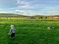 IMG_0923.jpeg