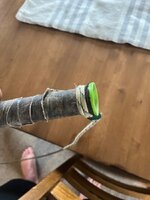 IMG_4914.jpeg