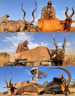 2025 South African Collage.jpg