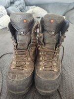 IMG_20250817_081644592.jpg