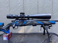 IMG_0350.jpeg