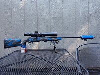 IMG_0348.jpeg