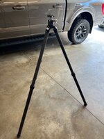IMG_4342.jpeg