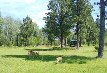 IMG_6561.jpeg