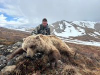 bear low res.png bear low res.png