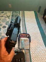 IMG_7254.jpeg