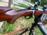 IMG_8675.jpeg