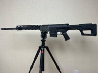 IMG_9628.jpeg
