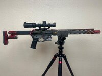 IMG_9653.jpeg