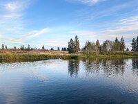 IMG_3031.jpeg