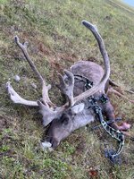 IMG_4330.jpeg
