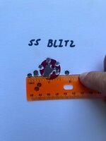 IMG_5145.jpeg