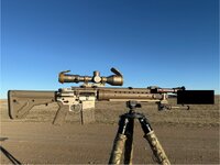 IMG_7469.jpeg