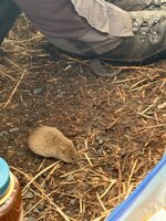IMG_0139.jpeg