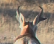 1755532593101.png