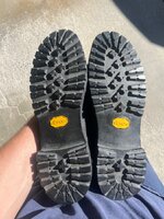 IMG_5344.jpeg