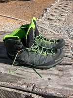 IMG_5350.jpeg
