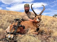 antelope.jpg