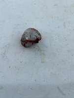 IMG_2697.jpeg