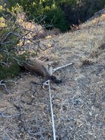 IMG_8600.jpeg