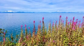 IMG_3402 2.jpeg
