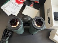IMG_5026.jpeg