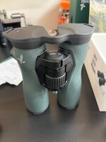 IMG_5029.jpeg