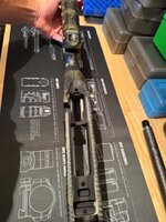 IMG_9120.jpeg