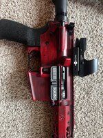 IMG_2891.jpeg