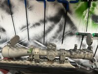 IMG_1329.jpeg