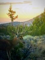 IMG_7969.jpeg